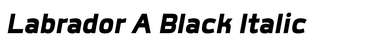 Labrador A Black Italic